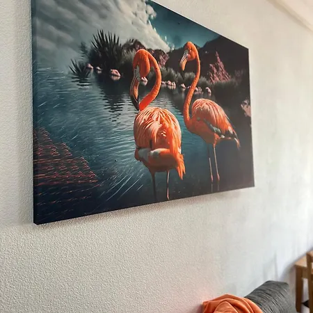 Flamingo تورّيفيِخا