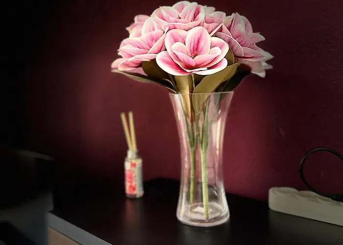 Appartement Flamingo *